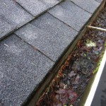 dirty-gutter